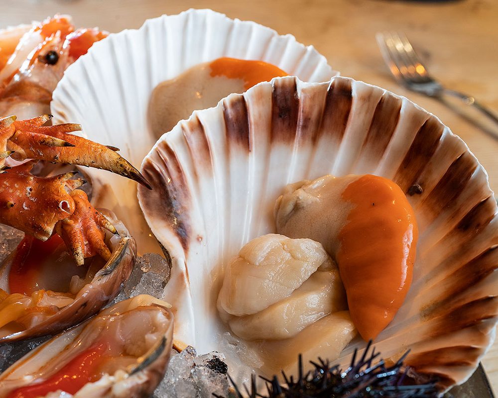 piatto con crudi di mare: capesante, ostriche, gamberi